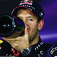 Illustration for article titled Sebastian Vettel Is Your 2013 Formula One World Champion